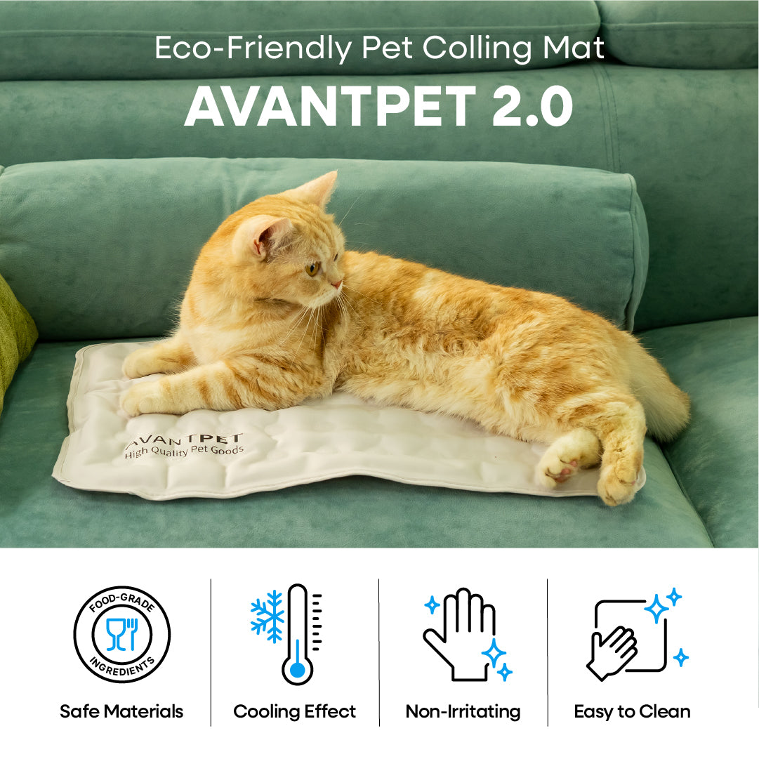 AVANTPET 2.0 (S)