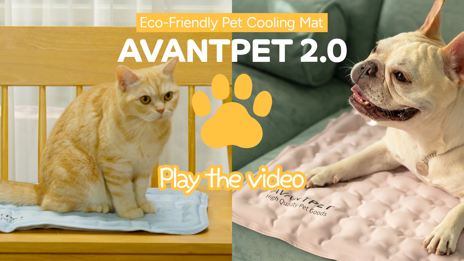AVANTPET