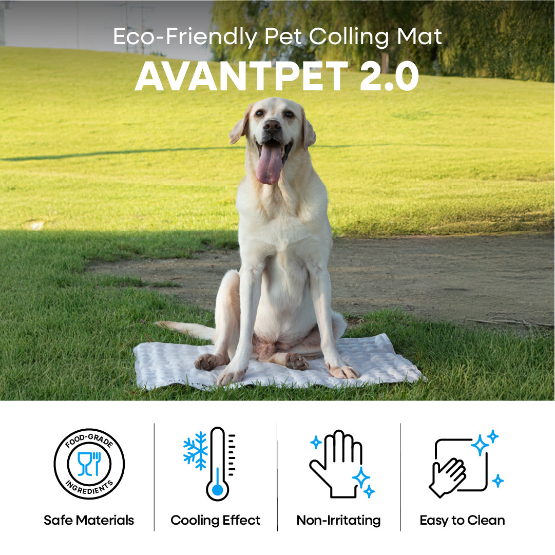 AVANTPET 2.0 (L)