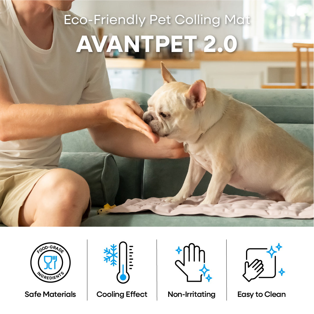 AVANTPET 2.0 (M)